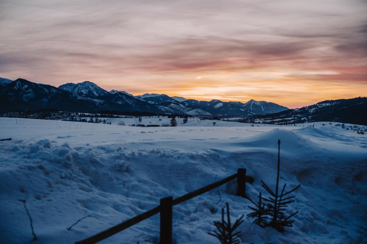 Willa Sopa Zakopane Zewnętrze zdjęcie