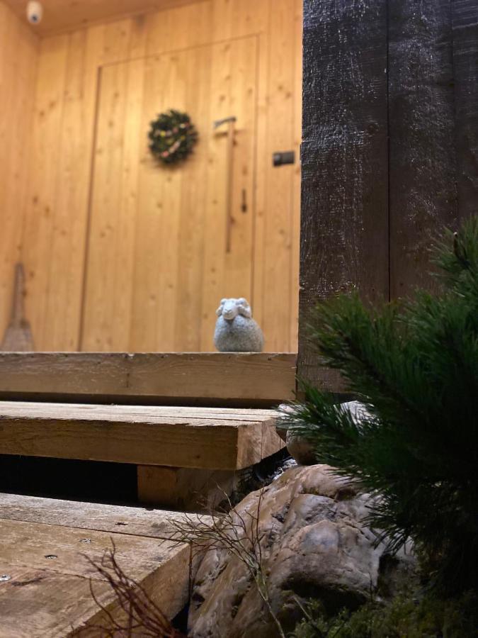 Willa Sopa Zakopane Zewnętrze zdjęcie